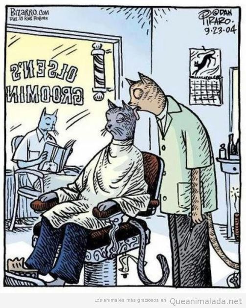 Viñeta graciosa de un gato en la barbería