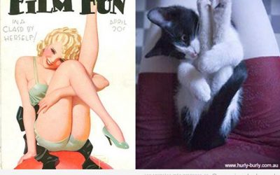 Cualquier cosa que las mujeres puedan hacer, los gatos lo hacen aún mejor