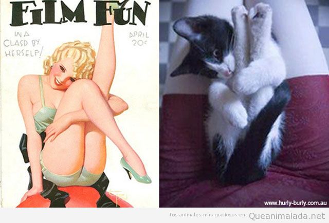 Dibujo de una chica pin up y un gato en la misma postura
