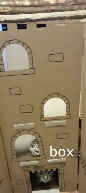 Imágenes curiosas de una caja para gatos en forma de castillo