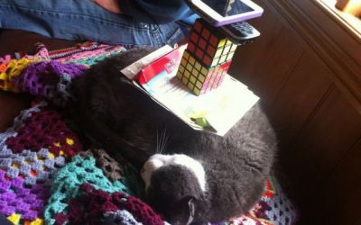 Gato o mesa auxiliar