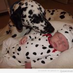 Foto bonita y graciosa de un bebé vestido de dálmata y el perro