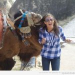 Foto graciosa de un camello que intenta comerse el pelo de una turista