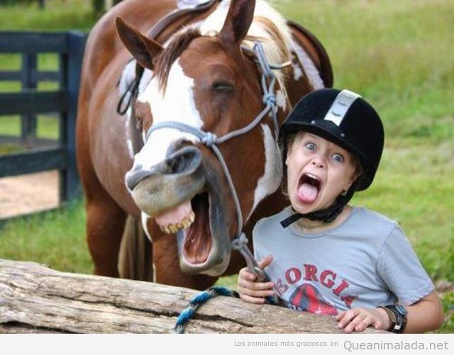 Foto divertida de un caballo sonriendo con una chica