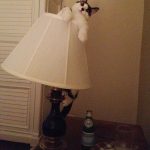 Foto divertida de un gato metido dentro de una lámpara