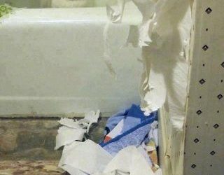 Cositas que hace tu gato cuando no estás en casa