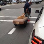 Imagen graciosa de una perra paseando en un carrito tirado por una bicicleta