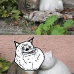 Foto graciosa de un gato enamorado de un gato de escayola, forever alone