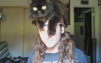 Utilidades que le puedes dar tu gato