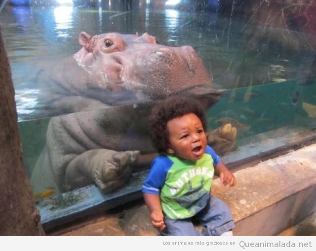 Foto graciosa de niño pequeño con hipopótamo