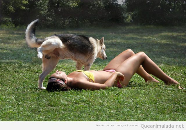 Perro hace pipi encima de una chica en el parque