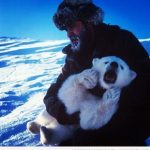 Imagen bonita de un oso polar bebé en brazos de un hombre