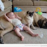 Foto graciosa de bebé que tiene a su perro como sofá