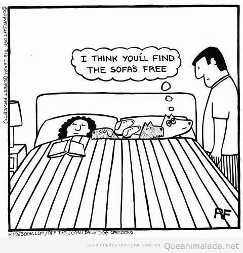Viñeta graciosa de perros en la cama
