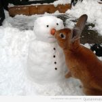 Conejo y muñeco de nieve...