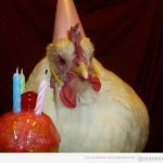 Imagen graciosa de una gallina de cumpleaños