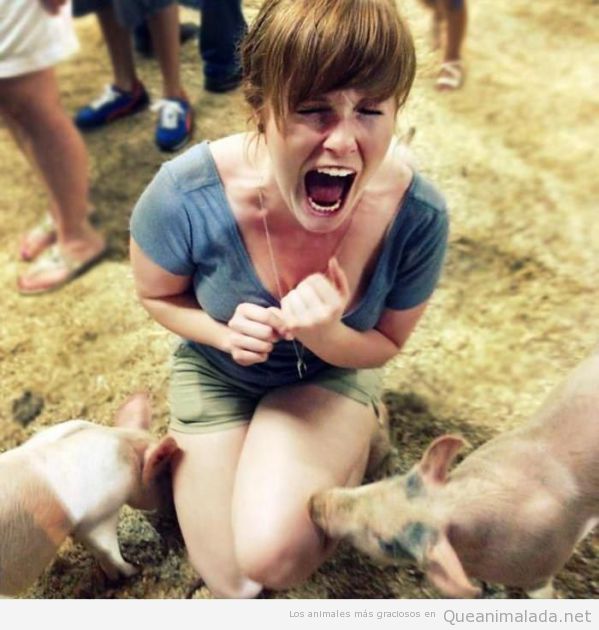 Foto graciosa de chica con dos cerdos bebé