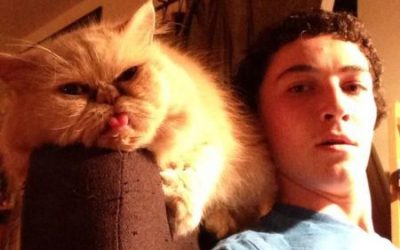 Este gato es un faltón…