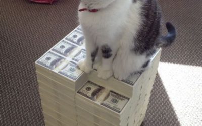 El gato mafioso returns