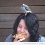 Foto graciosa de chica que come pizza en la calle con un pájaro en la cabeza