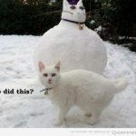 Imagen chistosa de un gato gordo como muñeco de nieve