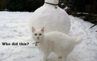 Quién ha hecho este muñeco de nieve?