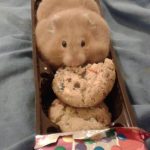 Imagen de un hamster gracioso en un paquete de galletas