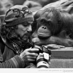 Imagen divertida de un orangután mirando la cámara digital de un fotógrafo