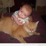 Foto divertida bebé encima gato gangster
