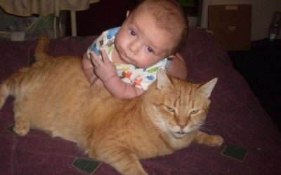 El bebé y el gato más malotes del barrio