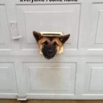 Cada vez que llegas a casa, tu perro te da la bienvenida...