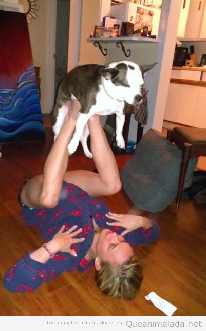 Imagen graciosa de un hombre subiendo perro con las piernas