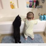 Imagen chistosa de bebé y gato asomados bañera