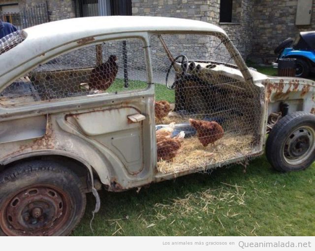Corral de gallinas en un coche antiguo