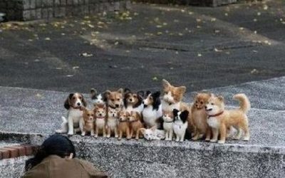 Foto de familia feliz, a la de tres: luíiiis!