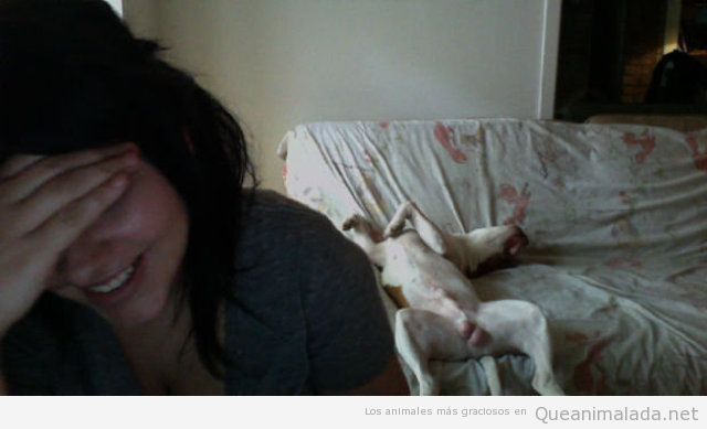 Imagen divertida de na chica en la webcam con perro detrás