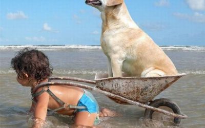 Niña y perro en la playa, son lo máximo!