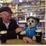 Foto graciosa, perro con chaleco y boina bebiendo cerveza Guiness