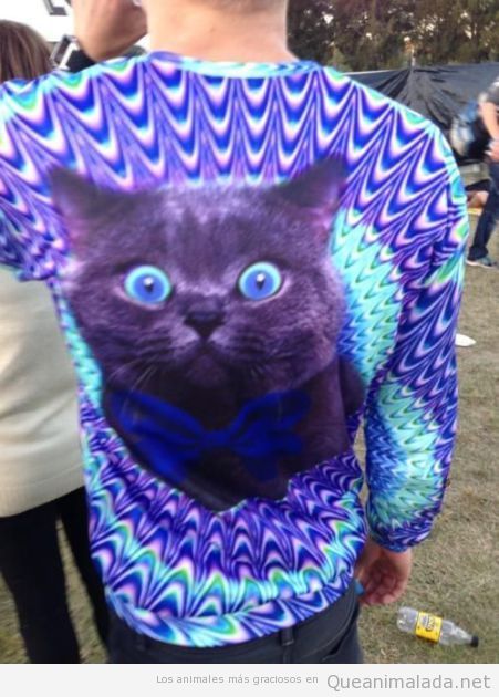 RT o Like si tú también quieres esta camiseta de gato…