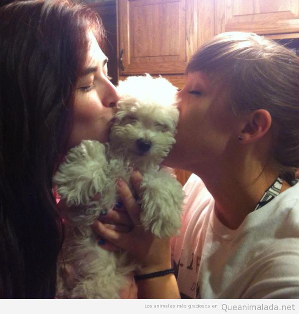 Imagen divertida de un perro feliz y dos chicas dándole un beso