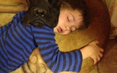 Las mejores siestas son las que te echas con tu perro