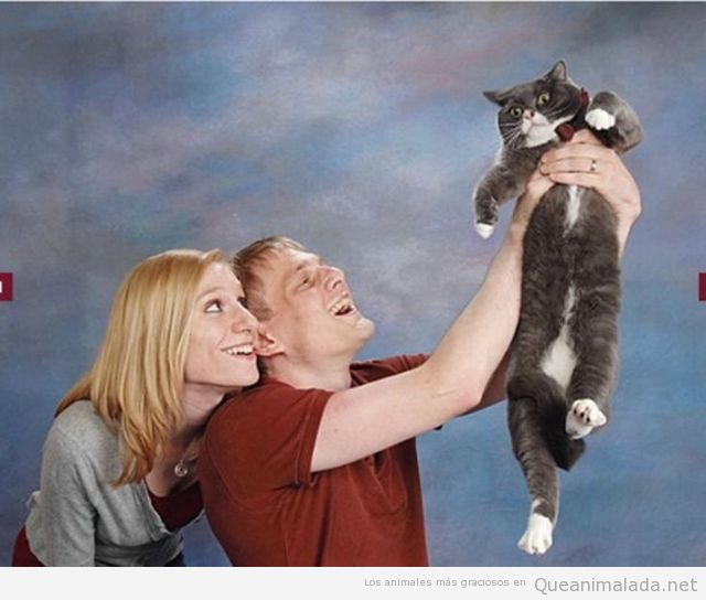 Imagen de estudio graciosa con una pareja y un gato