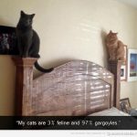 Imagen graciosa de dos gatos en el cabecero de una cama
