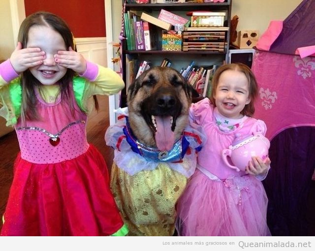 Imagen divertida de un perro jugando con niñas, disfrazado de Blancanieves