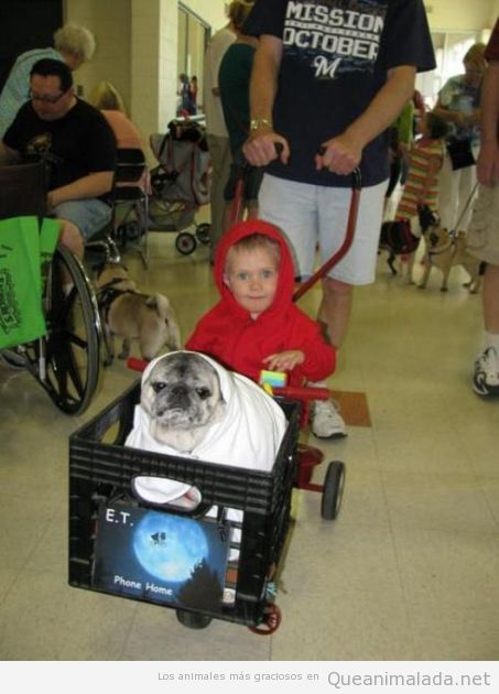 Niño con su perro haciendo la mítica escena de ET en la cesta de la bicicleta