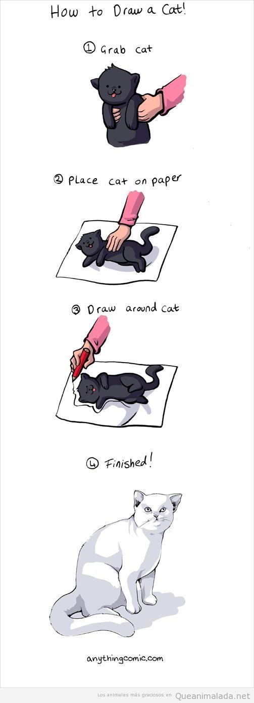 Comic gracioso, cómo dibujar un gato