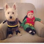Foto graciosa de un niño y un bebé con disfraz gracioso de Batman y Robin