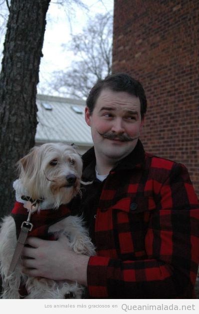 Foto chistosa de un hombre y un perro con bigote