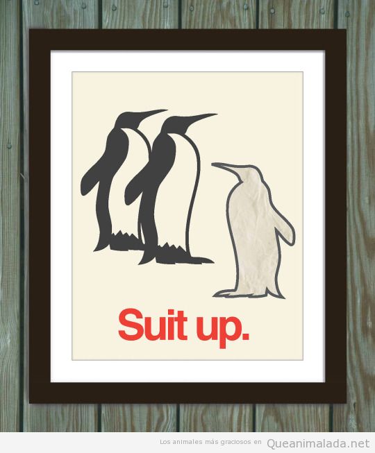 Humor gráfico, pingüinos suit up
