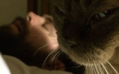 Ojo con lo que te puede hacer tu gato maligno mientras duermes…